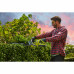 Аккумуляторный кусторез Ryobi RHT36B61R