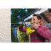 Перфоратор SDS+ Ryobi RSDS1050-K